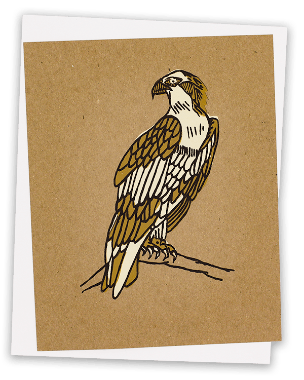 bird screen print